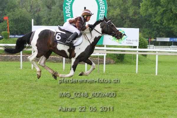 IMG 0248 600x400 prot