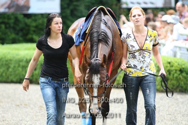 IMG 0251 600x400 prot