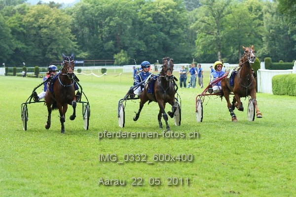 IMG 0332 600x400 prot