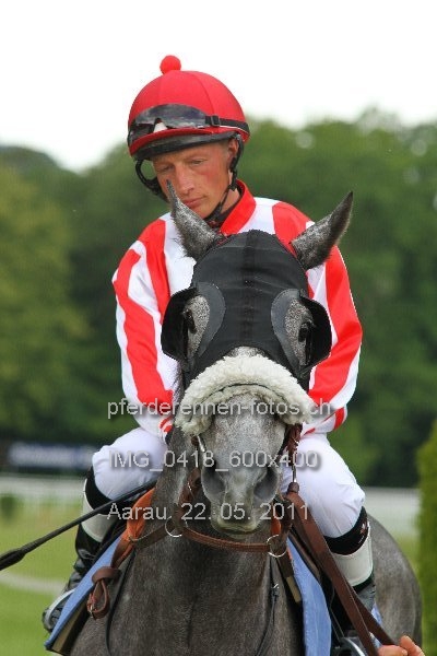 IMG 0418 600x400 prot
