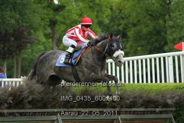 IMG 0435 600x400 prot
