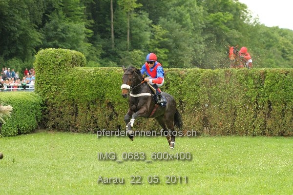 IMG 0683 600x400 prot