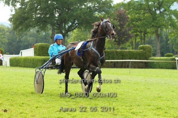 IMG 0800 600x400 prot