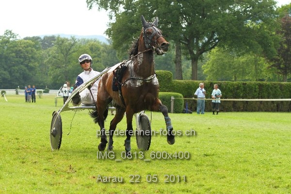 IMG 0813 600x400 prot