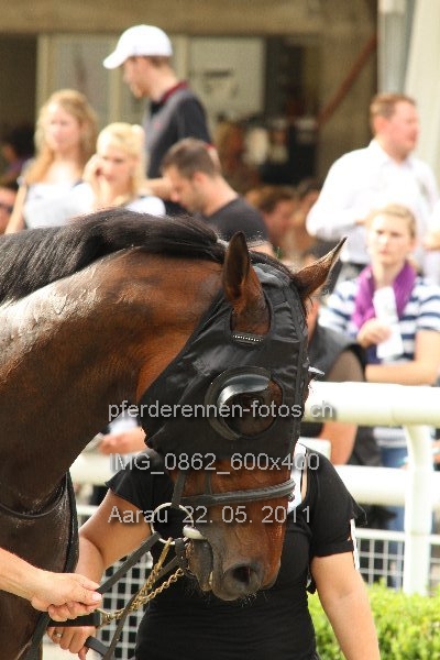 IMG 0862 600x400 prot