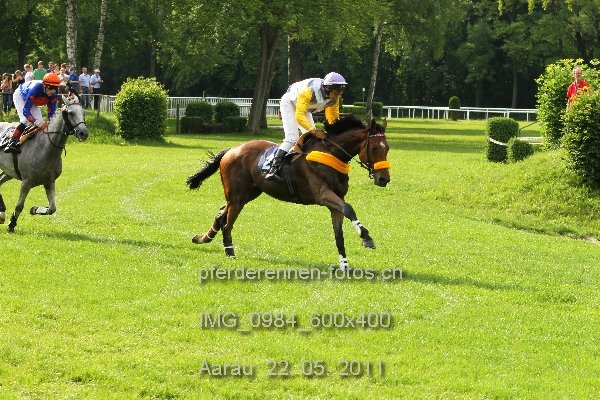 IMG 0984 600x400 prot