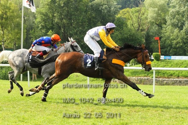 IMG 1042 600x400 prot