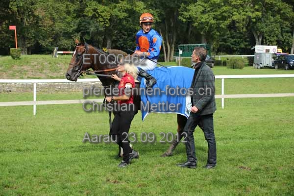 ET0Q0462 prot