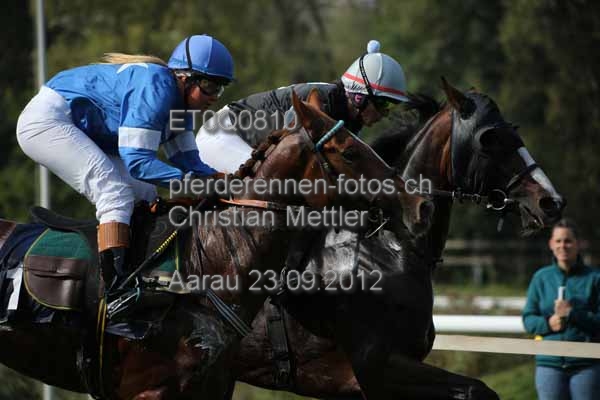 ET0Q0810 prot