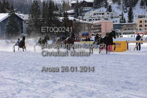 ET0Q0241 prot