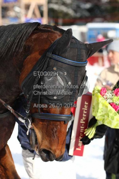 ET0Q0291 prot
