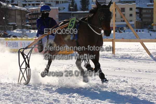 ET0Q0509 prot