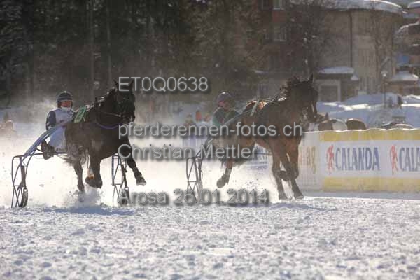 ET0Q0638 prot