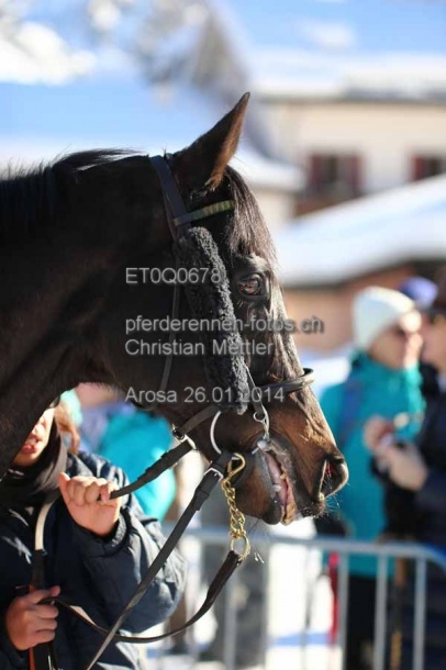 ET0Q0678 prot