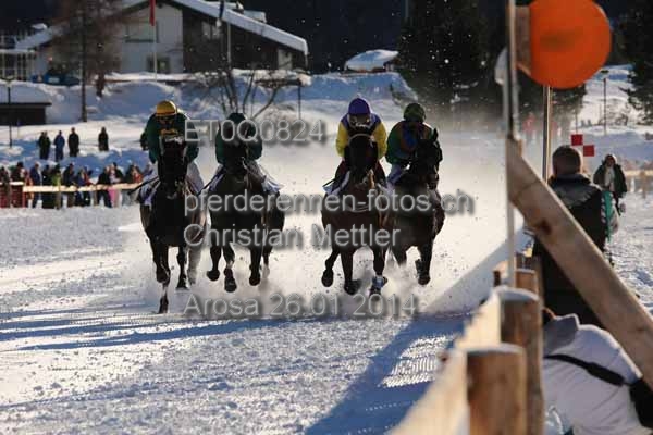 ET0Q0824 prot