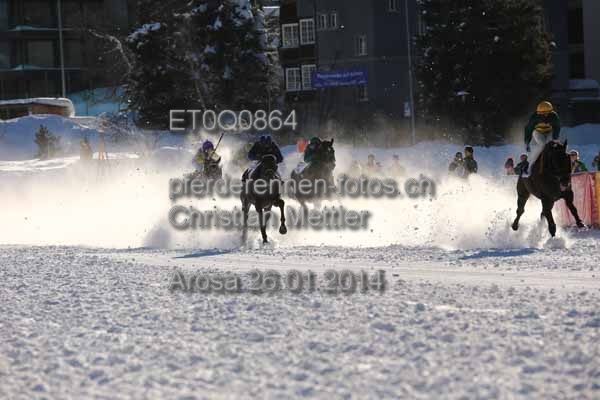 ET0Q0864 prot