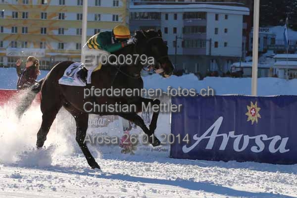 ET0Q0879a prot