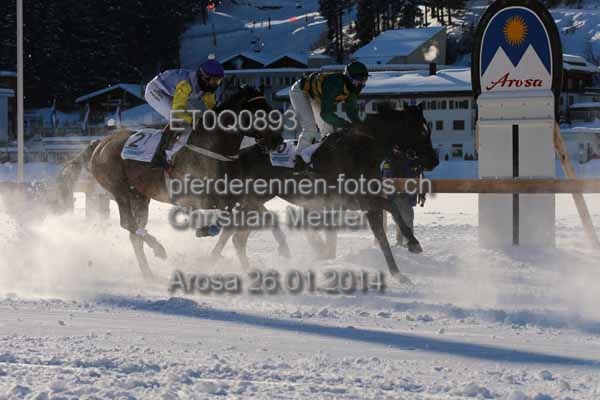 ET0Q0893 prot