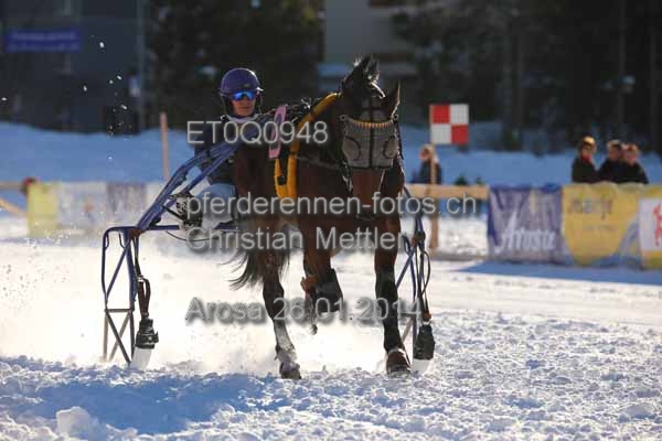 ET0Q0948 prot