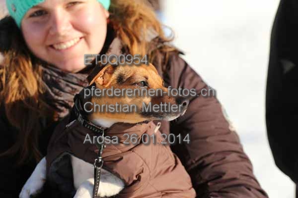 ET0Q0954 prot