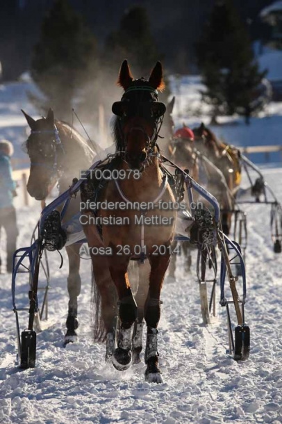 ET0Q0978 prot