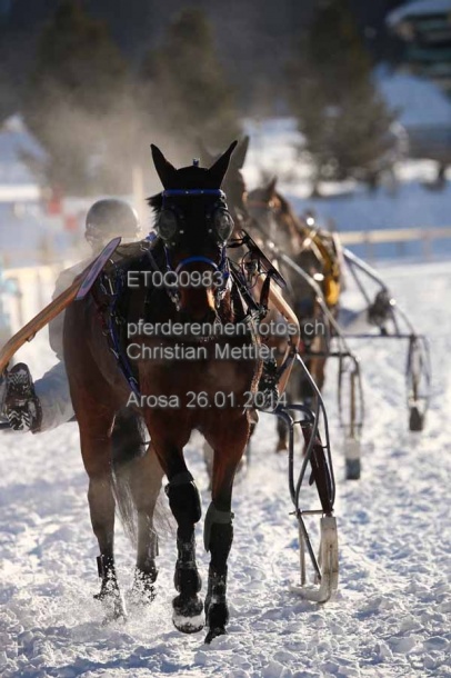 ET0Q0983 prot