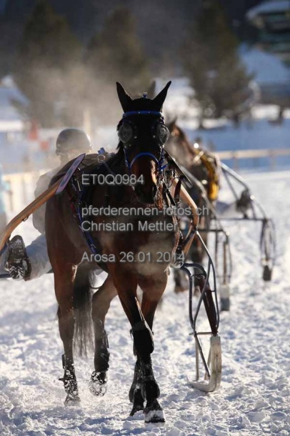 ET0Q0984 prot
