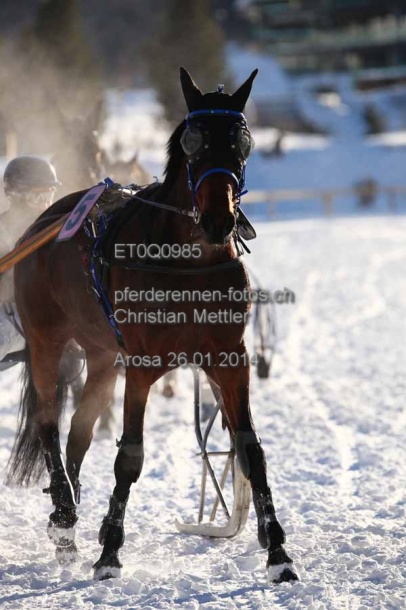 ET0Q0985 prot