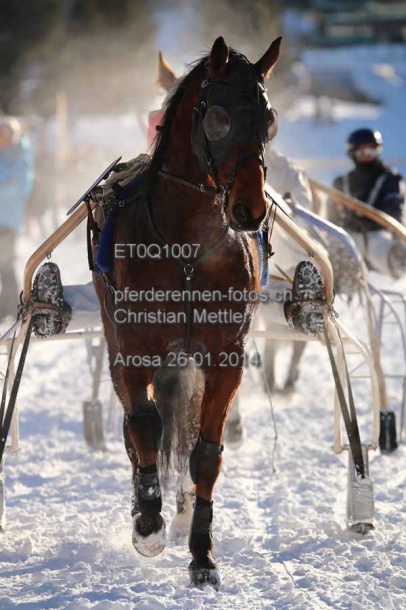 ET0Q1007 prot