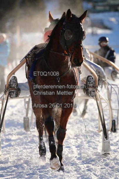 ET0Q1008 prot