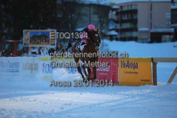 ET0Q1334 prot