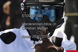 Details Kategorie: Arosa 26.01.2014