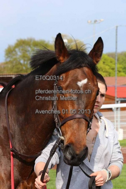 ET0Q0314 prot