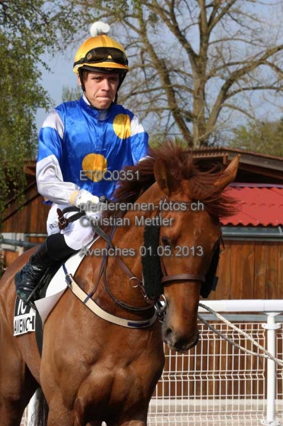 ET0Q0351 prot