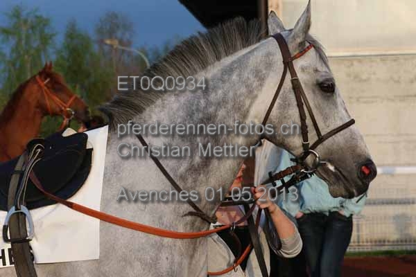 ET0Q0934 prot