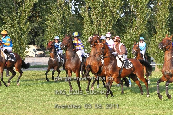 IMG 0208 600x400 prot