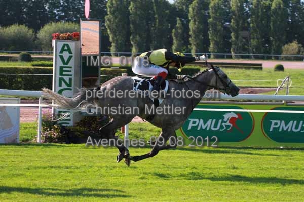 IMG 0118 prot