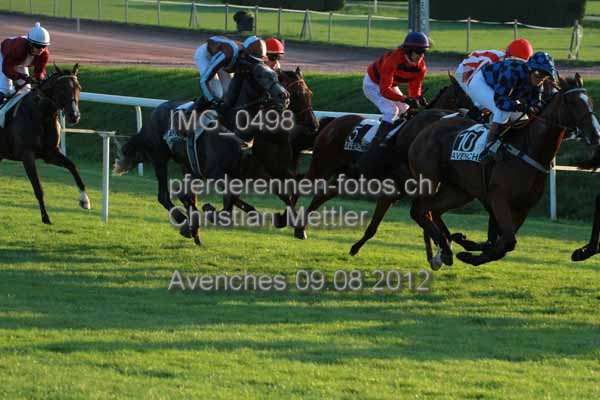 IMG 0498 prot
