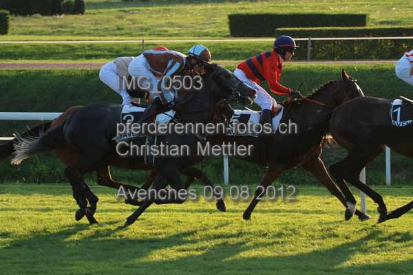 IMG 0503 prot