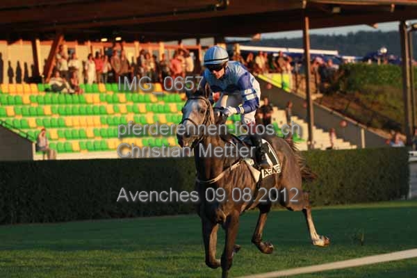 IMG 0657 prot