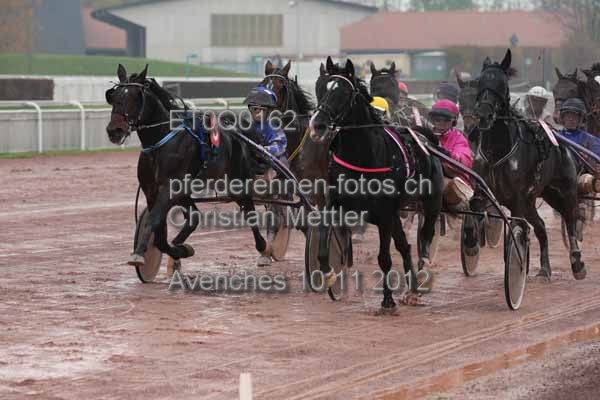 ET0Q0162 prot