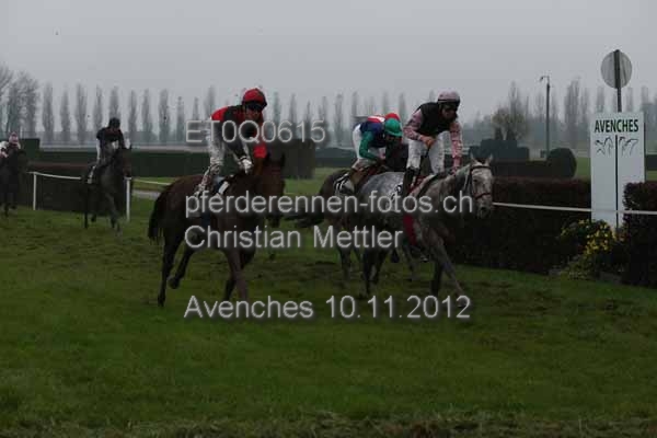 ET0Q0615 prot