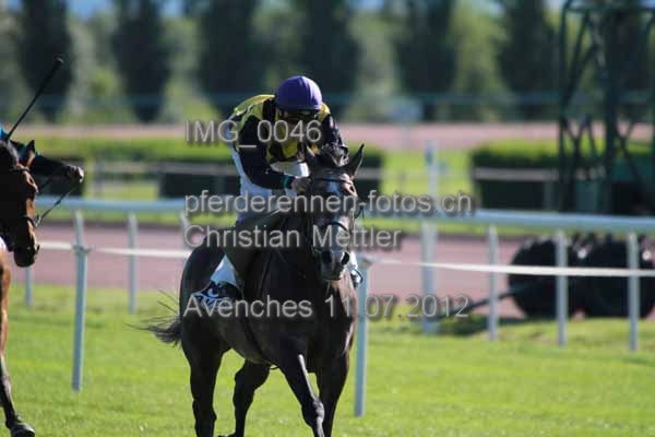 IMG 0046 prot