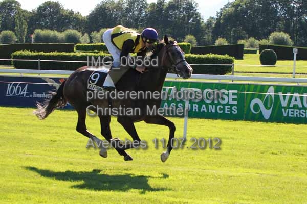 IMG 0056d prot