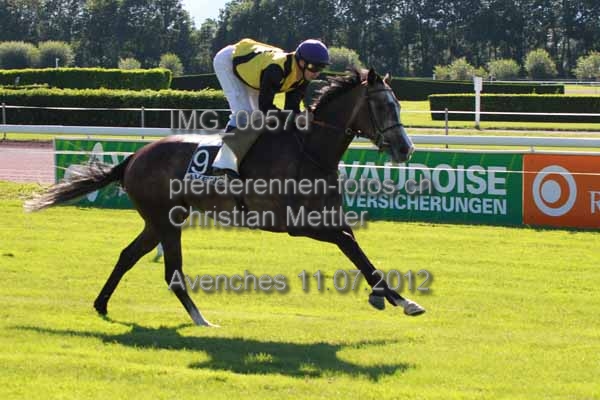 IMG 0057d prot