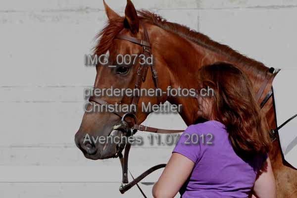 IMG 0073d prot