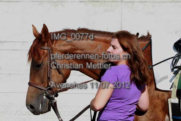 IMG 0077d prot