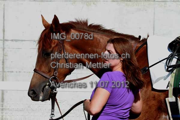 IMG 0078d prot
