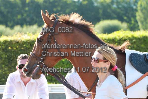 IMG 0082 prot