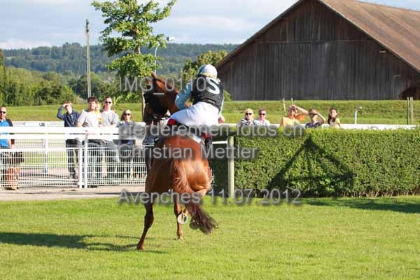 IMG 0110 prot
